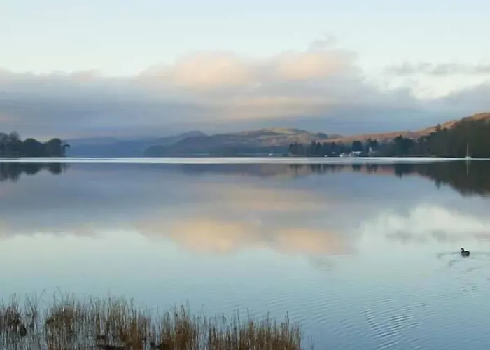 Yew Tree كونيستون